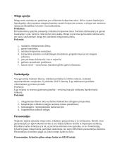 Referatas apie miegojimą 8 puslapis