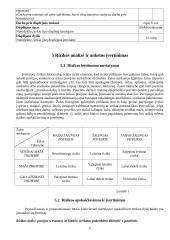 Įmonės ergonominis darbo sąlygų vertinimas ir priemonių jų gerinimui parinkimas: UAB "Ateities vizija" 10 puslapis
