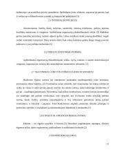 Įmonės etikos kodeksas: UAB "Kelelis" 15 puslapis