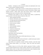 Įmonės etikos kodeksas: UAB "Kelelis" 3 puslapis