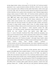 Įmonės finansinė analizė: AB "Dvarčionių keramika" 2 puslapis