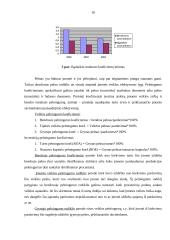 Įmonės finansinė analizė: AB "Dvarčionių keramika" 13 puslapis