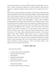 Įmonės finansinė analizė: AB "Dvarčionių keramika" 3 puslapis