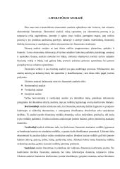 Įmonės finansinės veiklos vertinimas: UAB "Autotransportas" 3 puslapis