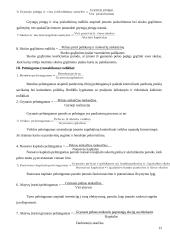 Įmonės finansų analizė 12 puslapis