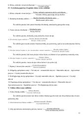 Įmonės finansų analizė 13 puslapis