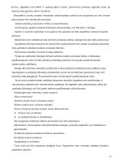 Įmonės finansų analizė 17 puslapis