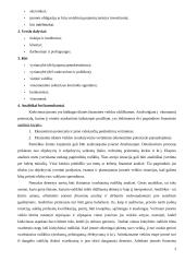 Įmonės finansų analizė 3 puslapis