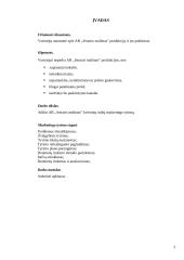 Įmonės ir tiriamos prekės charakteristika 2 puslapis