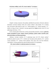 Įmonės ir tiriamos prekės charakteristika 12 puslapis