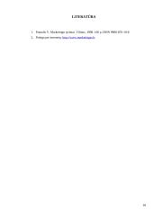 Įmonės ir tiriamos prekės charakteristika 17 puslapis