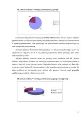 Įmonės ir tiriamos prekės charakteristika 10 puslapis