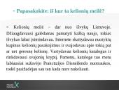 Interviu su turizmo įmonės direktoriumi 7 puslapis