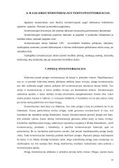 Inventorizacija - rekomendacija ar būtinumas? 13 puslapis