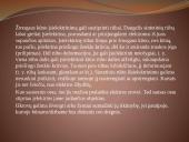 Įsielektrinimas 6 puslapis