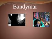 Įsielektrinimas 7 puslapis