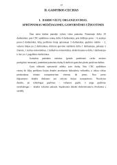 Įmonės istorija, veikla, gamybos sritis, įrengimai, produkcija: UAB "Baltijos baldų grupė" 13 puslapis