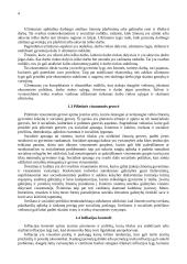 Pasaulio ekonomikos sistemos tikslai 4 puslapis