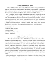 Įmonės išorinė aplinka : UAB "Vadmodus" 2 puslapis