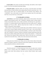 Įmonės išorinė aplinka : UAB "Vadmodus" 3 puslapis