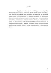 Oligopolinės rinkos bruožai (rašto darbas) 2 puslapis