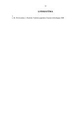 Įmonės išoriniai ryšiai 13 puslapis