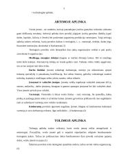 Įmonės išoriniai ryšiai 5 puslapis