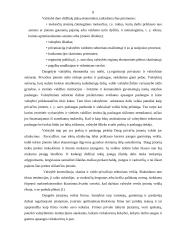 Įmonės išoriniai ryšiai 8 puslapis