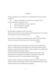 Įmonės įvaizdis ir prekės ženklo svarba 2 puslapis