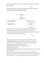 Įmonės įvaizdis ir prekės ženklo svarba 11 puslapis