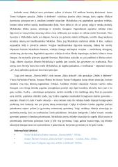 Kritinės situacijos akivaizdoje matome savo prioritetus 3 puslapis