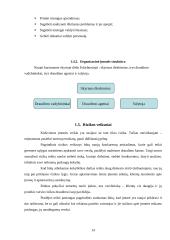 Įmonės kūrimas ir veiklos vadyba: UAB "Draudimas" 14 puslapis