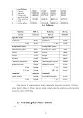 Įmonės kūrimas ir veiklos vadyba: UAB "Draudimas" 19 puslapis