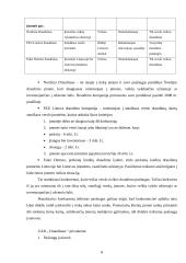 Įmonės kūrimas ir veiklos vadyba: UAB "Draudimas" 8 puslapis