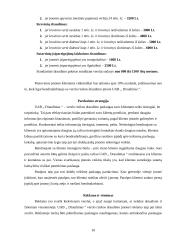 Įmonės kūrimas ir veiklos vadyba: UAB "Draudimas" 10 puslapis