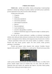 Fizikinė – technologinė tarša 4 puslapis