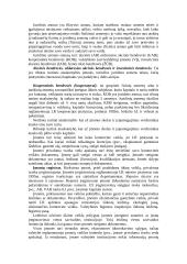 Įmonės kūrimo organizavimas 2 puslapis