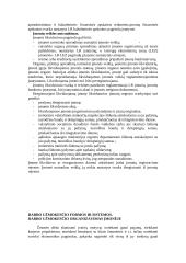 Įmonės kūrimo organizavimas 3 puslapis