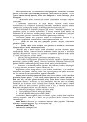 Įmonės kūrimo organizavimas 6 puslapis