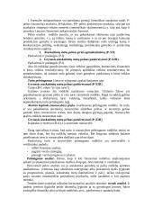 Įmonės kūrimo organizavimas 7 puslapis