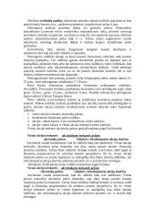 Įmonės kūrimo organizavimas 8 puslapis