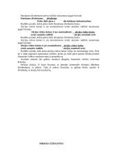 Įmonės kūrimo organizavimas 9 puslapis