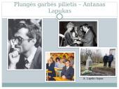 Plungės garbės pilietis 4 puslapis