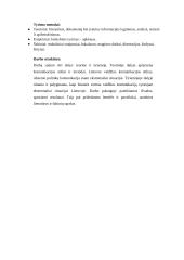 Valdžios komunikacija esant ekstremaliai situacijai Lietuvoje ir jos vertinimas 3 puslapis