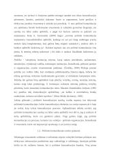 Valdžios komunikacija esant ekstremaliai situacijai Lietuvoje ir jos vertinimas 6 puslapis