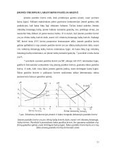 Įmonės pelno maksimizavimas tobulos konkurencijos rinkoje 11 puslapis
