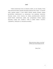 Įmonės pelno maksimizavimas tobulos konkurencijos rinkoje 3 puslapis