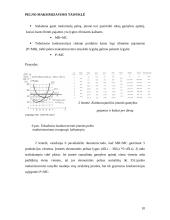 Įmonės pelno maksimizavimas tobulos konkurencijos rinkoje 10 puslapis