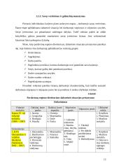 Įmonės personalo organizavimo procesai 12 puslapis