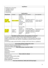 Įmonės personalo organizavimo procesai 13 puslapis
